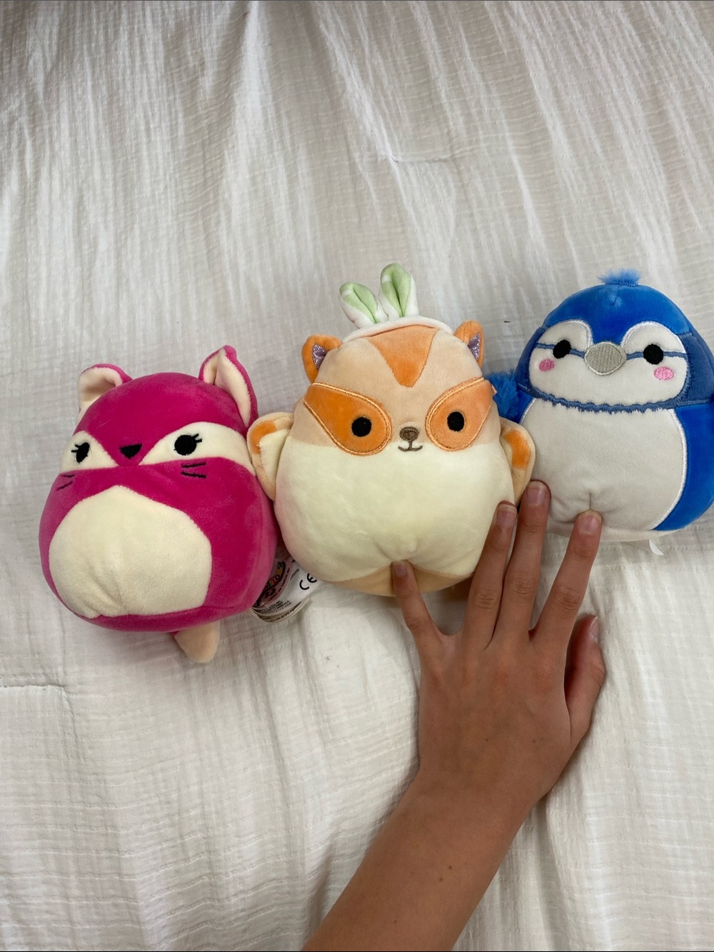 Cute squishmallow trio